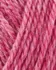 Onion No.4 813 Pink