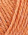 Onion No.4 815 Orange