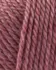Onion No.4 826 Rosa