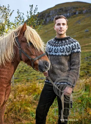 39-18 Hófadynur Strikkeopskrift sweater i Plötulopi (pladegarn) trykt