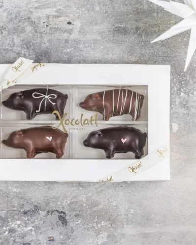 Four piggles – Xocolatl Christiansfeld, forside