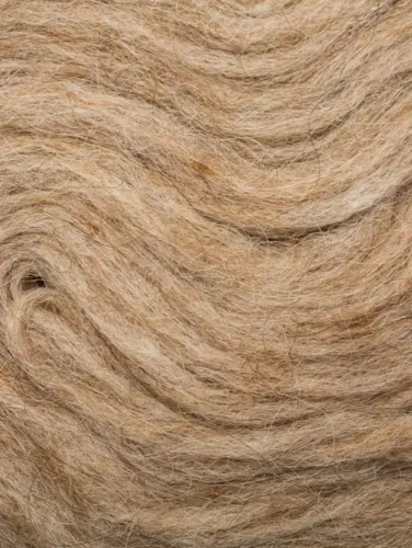 Pladegarn (Plötulopi) / 0003  Light beige