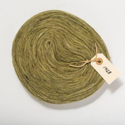 Pladegarn (Plötulopi) / 1423 Clover green