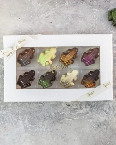 Frog parade – Xocolatl Christiansfeld, forside