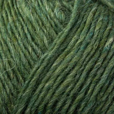 Léttlopi 1706 Lyme grass