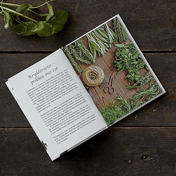 Havens Krydderurter – Dyrkning og anvendelse