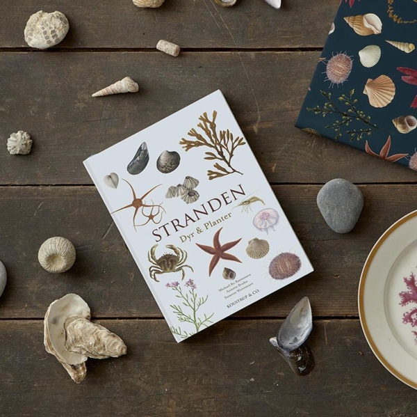 Stranden Dyr og Planter