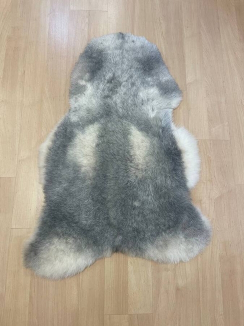 Islandske  Skind / Grå  / korthåret/ nr. 2015