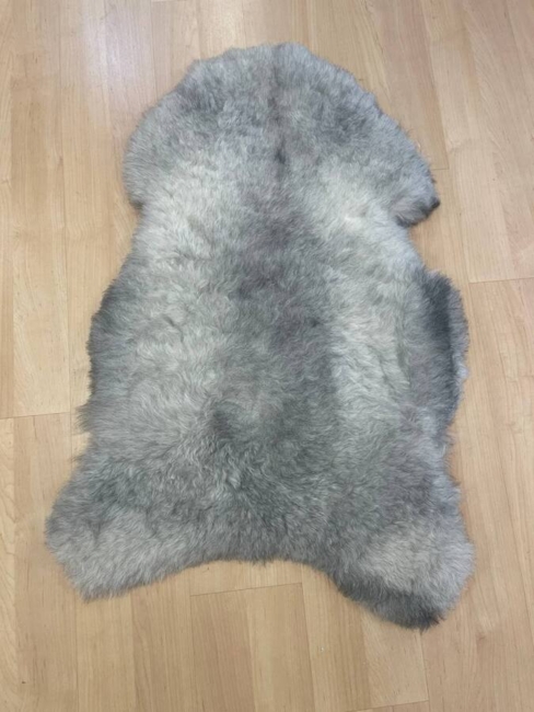 Islandske  Skind / Grå  / korthåret/ nr. 2016