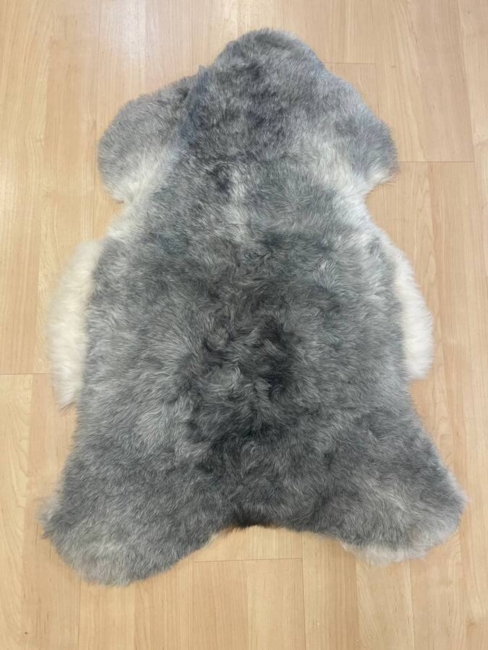 Islandske  Skind / Grå  / korthåret/ nr. 2018