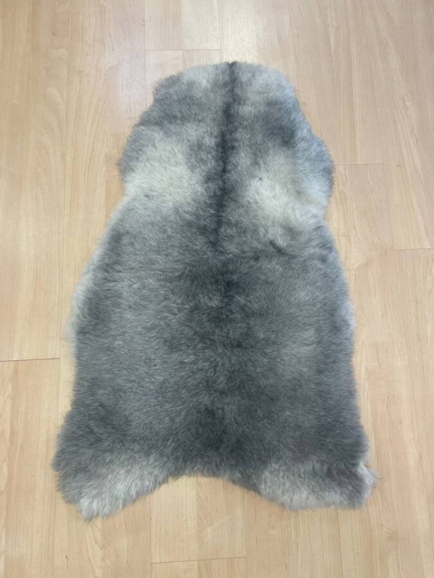 Islandske  Skind / Grå  / korthåret/ nr. 2019