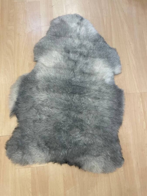 Islandske  Skind / Grå  / korthåret/ nr. 2021