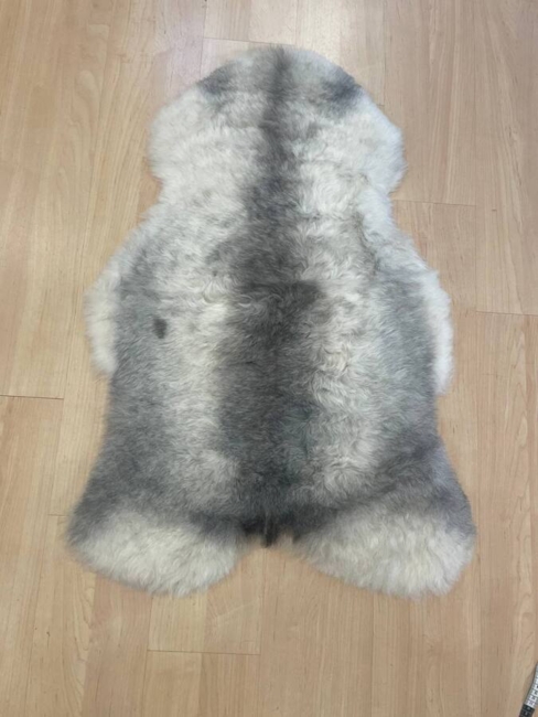 Islandske  Skind / Grå  / korthåret/ nr. 2022