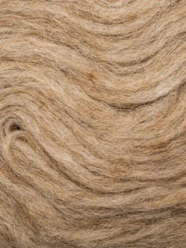 Pladegarn (Plötulopi) 0003 Light beige