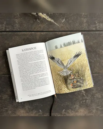 Rovfugle – som jeg ser dem, bog af Carl Christian Tofte – Koustrup & Co.