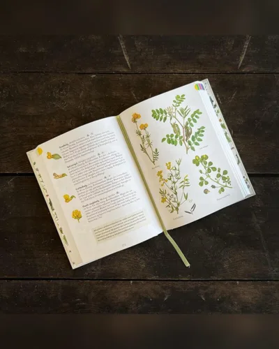 Flora – Kend naturens blomster, bog af Kirsten Tind