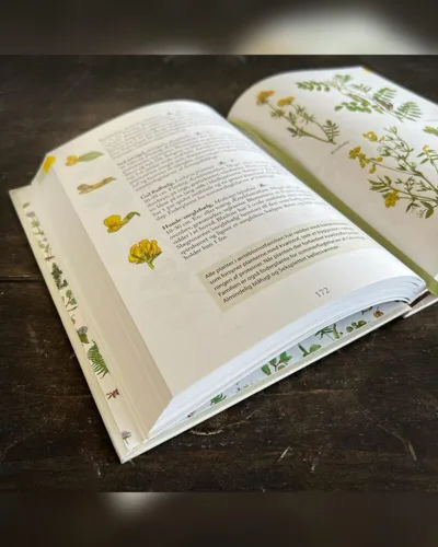 Flora – Kend naturens blomster, bog af Kirsten Tind