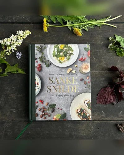 Sankesnilde – Vild mad hver dag, bog af Stephanie Straube Alemanno
