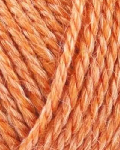 Onion No.4 815 Orange