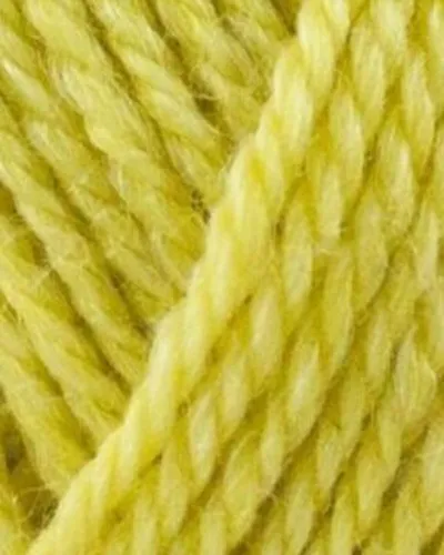 Onion No.4 823 Citron