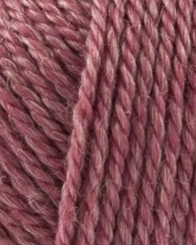 Onion No.4 826 Rosa