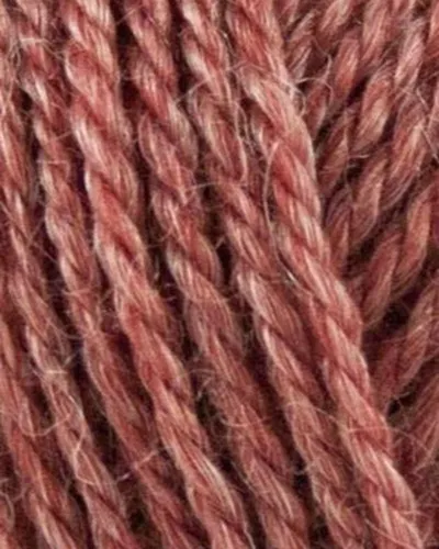 Onion No.4 827 Marsala