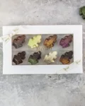 Frog parade – Xocolatl Christiansfeld, forside