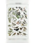 Økologisk viskestykke Havens fugle 48 x 70 cm – Koustrup & Co.