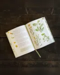 Flora – Kend naturens blomster, bog af Kirsten Tind