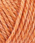 Onion No.4 815 Orange