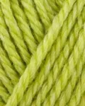 Onion No.4 816 Lime