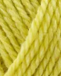Onion No.4 823 Citron