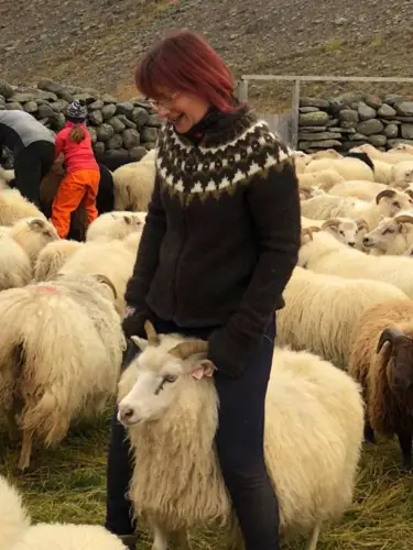 Gratis opskrift – Æði sweater med lynlås i Álafoss lopi (islandsk)