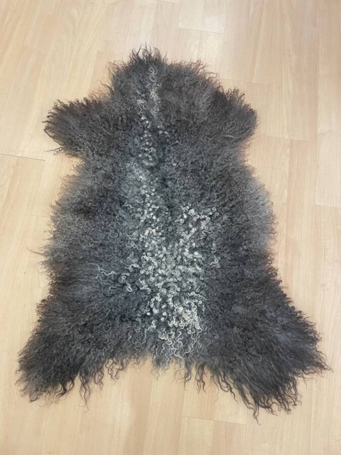 Lammeskind / Gotland / nr. 2005